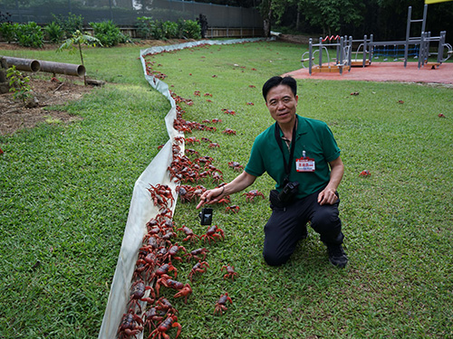 Christmas island